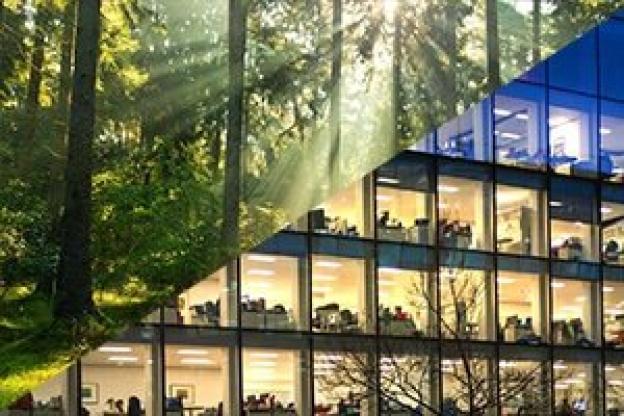 Natural Light vs Artificial Light