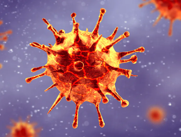 coronavirus